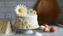 Hot Hands Modeling Chocolate 1 Pack Modeling Chocolate, Premium Gourmet Modeling Chocolate for cakes in WHITE Pound by