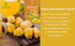 1.76 Oz NOKKI FARM Freeze Dried Jackfruit - Healthy & Exotic Tropical Superfood Snacks, No Added Sugar