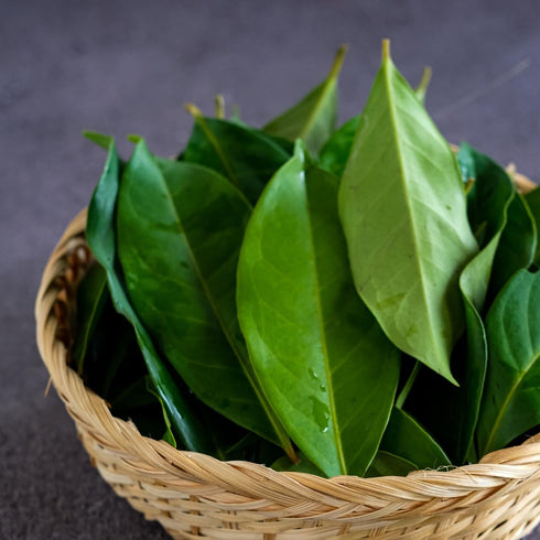 GranAroma Ground Bay Leaves, 7.2 oz for Savory Flavor in Soups & Sauces, Pickling Spice