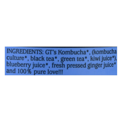 16 oz Immune SYNERGY The Real Kombucha - Gingerberry - fl Bottle - Raw Probiotic Drink for Gut Health and Support