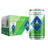 Royal Oak Ginger Ale by Regatta, Case of 24 Sleek Mini Cans,