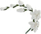 Global Sugar Art Freesia Sugar Cake Flowers Filler Spray, White, 3 Count