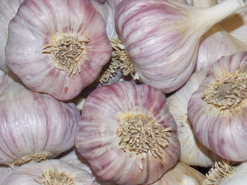 S&C (3 Count) Fresh Organic Italian Garlic, Must Have for Gourmet Italian Cuisine, USDA Certified Organic, Produce