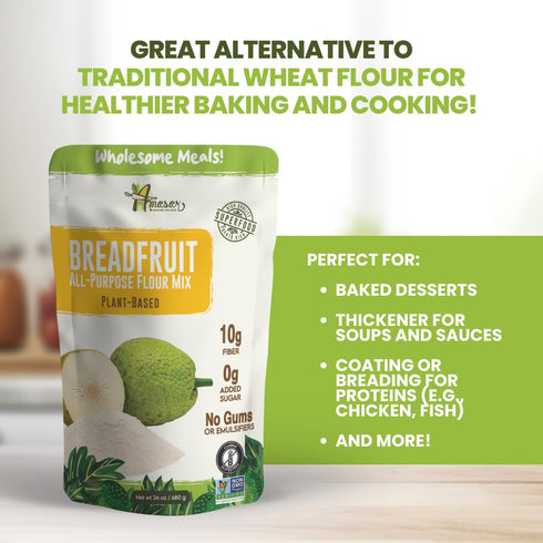 9g 24 Oz Amasar | All-Purpose Breadfruit Baking Mix | Gluten Free Made with Breadfruit & Cassava Flour | Plant Based
