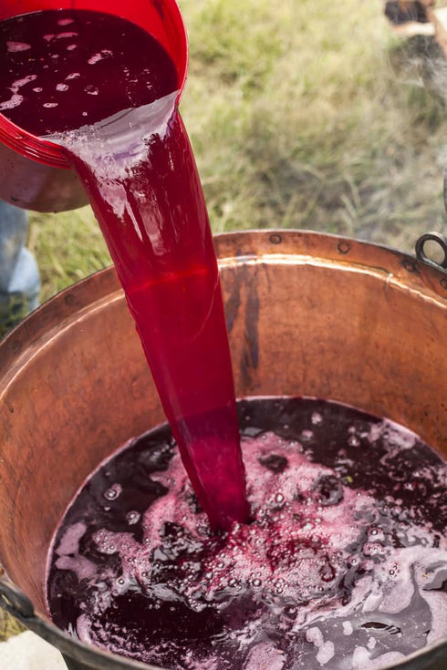8.45 oz (250 ml, Sanniti Vincotto Vinegar Cooked Grape Must | Product of Italy | Sweet and Sour Condiment