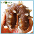 Generic 100g Premium Dried Sea Cucumber | Selected Grade A Gourmet Seafood | Traditional Asian Cooking Ingredient |