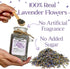 25g Packed Dried Lavender Flower Buds Edible Culinary Grade for Tea, Baking, Aromatherapy & Crafting in Plastic Jar