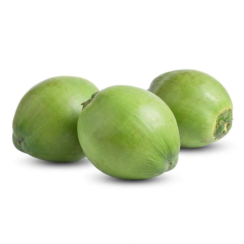 Tropical Importers Fresh Green Young Water Coconuts Organic Non-GMO Set of 3 Whole Fresh