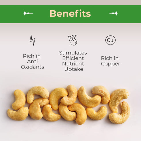2 (LB). Sincerely Nuts Whole Cashews - Roasted and Unsalted | High in Protein Everyday Healthy Snack - Rich