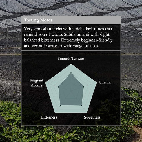 (100g 3.5oz) Naoki Matcha Organic Ceremonial First Spring Blend Authentic Japanese First Harvest Ceremonial Grade