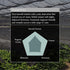(100g 3.5oz) Naoki Matcha Organic Ceremonial First Spring Blend Authentic Japanese First Harvest Ceremonial Grade