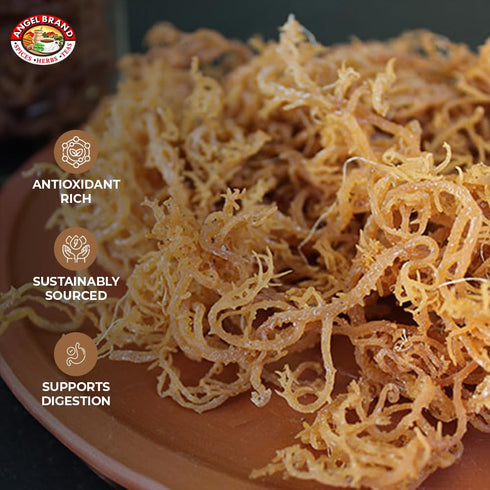 2 Lbs Angel Brand Irish Sea Moss Pouch - Nutrient-Rich Sea Vegetable Harvested from Clean Ocean Waters - Irish Sea Moss