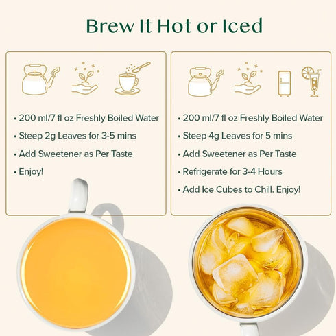170+ (340g/12oz) Pack VAHDAM, First Flush Darjeeling Tea - Cups Loose Leaf Black Tea - Flowery, Aromatic & Delicious |