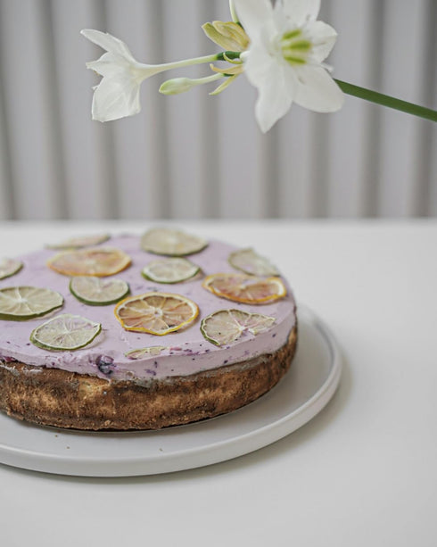 40 Dried Lemon Slices | Slices | Preserved Peel Premium DRIED FRUITS for Luxury Cocktail Garnishes for Establishments