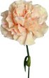 38 Next-day delivery Apple Tea Color Carnation Flowers DIY Hydroponic Flower Arrangement Mothers Day Gift Birthday