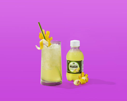 16 Oz, 12 Count Boylan Bottling MASH Great Tasting Lemon Root Ginger Peel Lightly Carbonated Fruit Drink - Low Calorie
