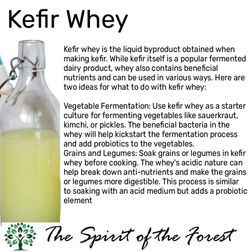 Milk Kefir Live Grains - Live Active Starter Cultures Scoby For Homemade Probiotic Drink For Almond, Coconut Kefir