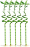 Generic 5 Stalks of 12 Inch Spiral Lucky Bamboo with one Free Bottle