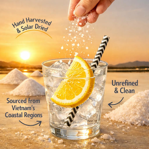 2.2 LB (Pack 2) Birdee Baja Mineral Sea Salt of Unrefined Vietnamese Sea Salt for Cooking, Hydration, and Electrolyte