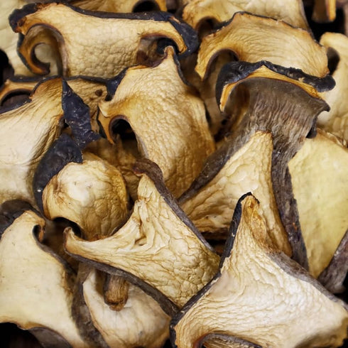 Visit the Store (8oz) Royal Seafood USA Dried Porcini Mushrooms for cooking, Dried mushrooms, Vega, Pasta, Sauces