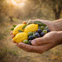 (250ml) 8.45 oz Dell'Orto Limonolio Lemon Olive Oil Extra Virgin | Amalfi Coast Lemons, Cold Pressed Infused Olive Oil
