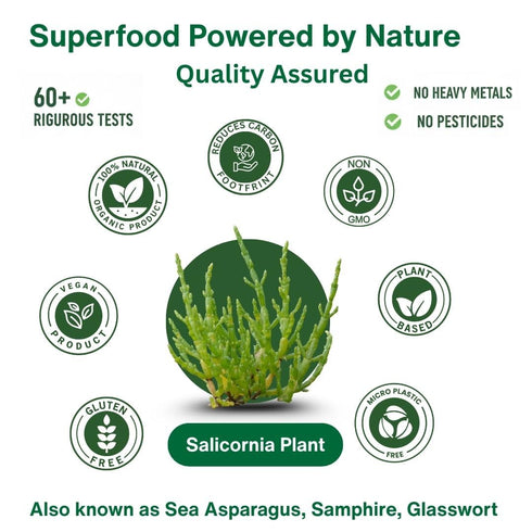50% 100% (7.05 oz 200g) SaltWise Salicornia Green Salt Less Sodium, Plant-Based Salt Substitute, Dehydrated Salicornia