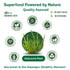 100% (7.05 (Pack 2)) SaltWise Salicornia White Salt Low Sodium Salt Substitute, Plant-Based Mineral Salt, Kosher