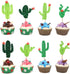 Cactus Cupcake Toppers, Summer Hawaii Theme Party Favors, 24PCS for Birthday Supplies