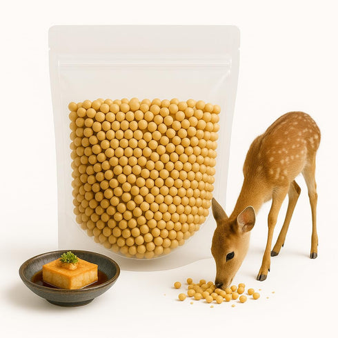 Crazy Nuts | USA Grown Non GMO Soybeans, 5lb | Soybeans for Soy Milk