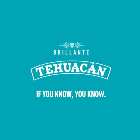 TEHUACN BRILLANTE 24 oz, 12 Pack Sparkling Mineral Water, Glass Bottle