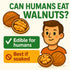 Sky Ecommerce 5lb Crazy Nuts | California Grown Whole Walnuts In Shell, | Raw Walnuts Whole Bulk, Nuts in Shells