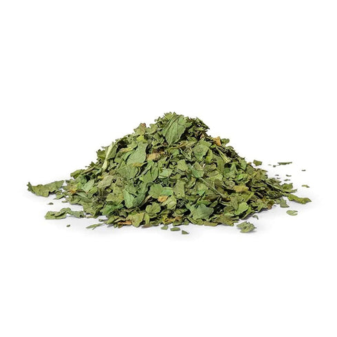 NY SPICE SHOP Cilantro Flakes - Piquant and Aromatic Seasoning for Broths,