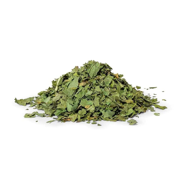 NY SPICE SHOP Cilantro Flakes - Piquant and Aromatic Seasoning for Broths,