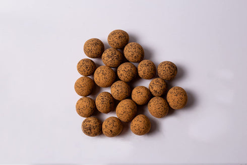 70% 1 Pack, 2 oz. Rawmio Chocolate Covered Sprouted Hazelnuts - Organic, Raw, Vegan, Dark Chocolate