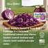 16 (Pack 2) Aunt Nellie's Sweet & Sour Red Cabbage Ounce