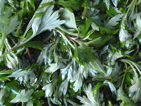 UNIGEMSMYTH 4 Ripple Stream Mugwort herb Pure Leaves Fine Picked Bulk Nil Stem, Stalk, Artemisia vulgaris Chemical Free