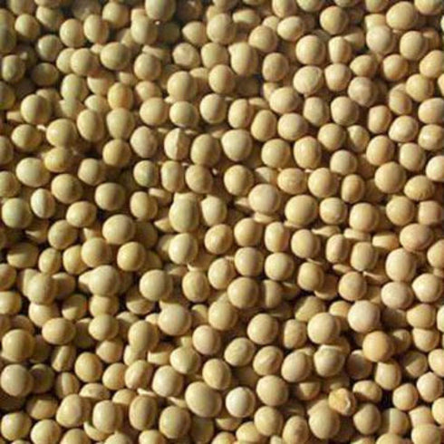 Noteboom Farms LLC 24 (lbs.) Soybeans - pounds Soy Tofu Soymilk