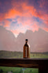 500ml Frantoio Muraglia COOLors Ros Gold Extra Virgin Olive Oil | Italian EVOO from Puglia | Cold Pressed Monocultivar