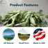 Leaves-100% CurryForest Premium Dried Curry Natural, Pesticide-Free Whole Leaves, USA Grown, Air Dried.