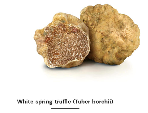 Dryas Verlag Dryas White Truffle Oil | Made from Wild Greek Truffles and Greek Extra Virgin Olive Oil | Harvested by