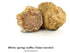 Dryas Verlag Dryas White Truffle Oil | Made from Wild Greek Truffles and Greek Extra Virgin Olive Oil | Harvested by