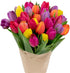 Stargazer Barn 30 Stem Rainbow Tulips Bouquet - Fresh Cut Flower Delivery,