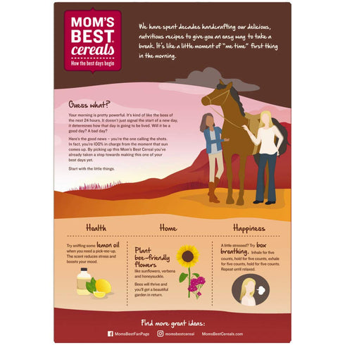 Mom's Best 22 oz (Pack 10) Moms Best Raisin Bran Whole Grain Cereal with No Artificial Flavors, Box