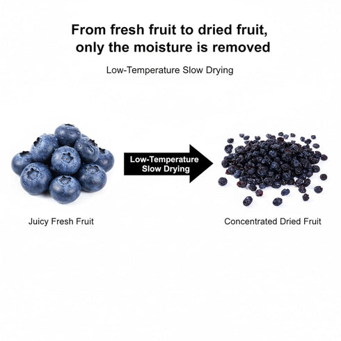 DYBOEDYO 15.87oz(450 Dried Blueberries | g) | Dehydrated Blueberries | Sweet Dried Fruits, Fruit Snacks |Handpicked