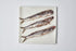 14.8 oz Nettuno Salted Anchovies Cetara, Campania, Italy