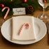 Muchai Innovations 120 Pack Candy Canes Peppermint Flavored Pieces Individually Wrapped Red & White - Holiday Edible