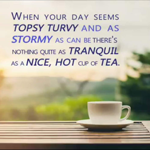 72 (Pack 6) (Packaging Tetley Green Tea, Teabags of may vary)