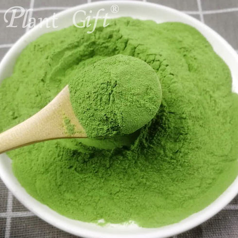 Plant Gift 100g/3.52oz 100% Spinach Powder - Green Powder for Juice, Smoothies, Soups, Baked Dishes, and Recipes, Pure
