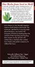 20 1 count Bravo Tea Lion's Mane Mushroom Herbal Tea Caffeine Free, tea bags