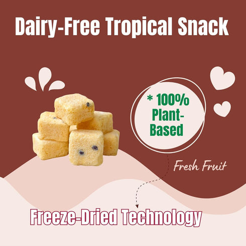 (3-Pack, 1.76 oz Juju-Oops Freeze-Dried Passion Fruit Mylk Crunch Vegan Soy Milk Fruit Bites with Real Fruit Pieces |